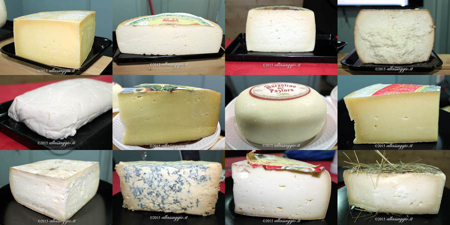collage formaggi 